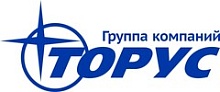 Торус